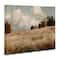 Stupell Industries Classic Cloudy Field Landscape Canvas Wall Art